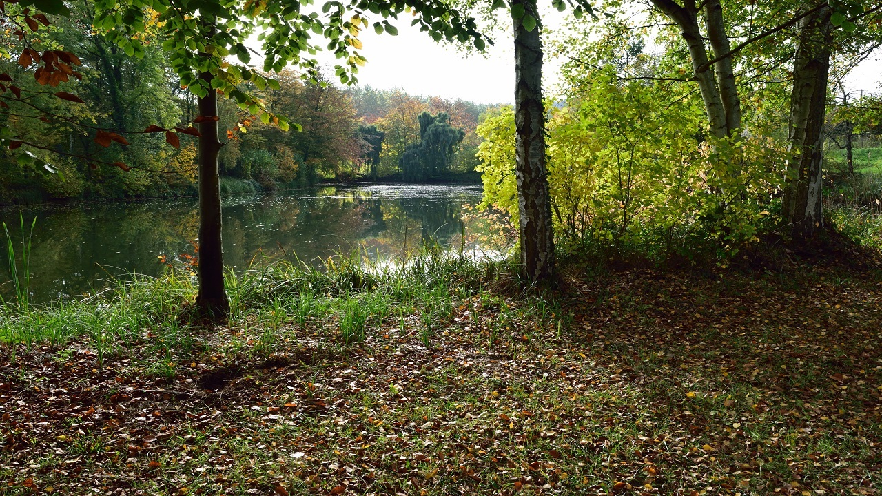 SNAB &eacute;tang P11.JPG